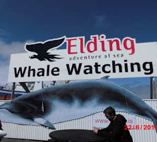 Tip: Wal gucken. Herrlich!!