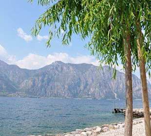 Toller Ausblick, geschützte Sonnenstunden