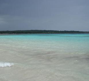 Der Strand von Sa Coma