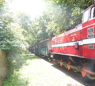 Kolejka wąskotorowa ze Żnina