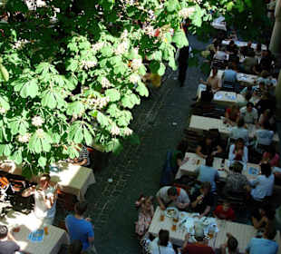 Biergarten im Hofbräuhaus