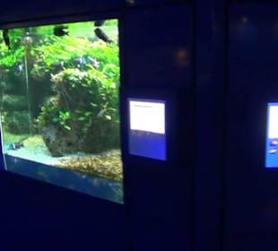 Niedersächsisches Landesmuseum