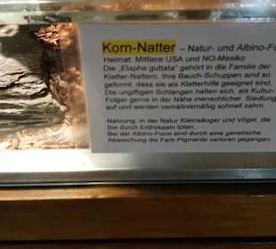 Exotarium