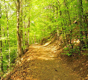 Fennpromenade