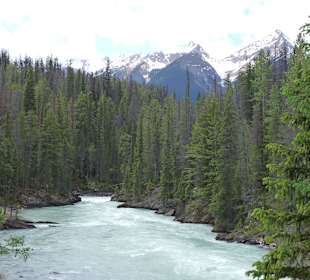 Kicking Horse River 
