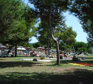 Liegewiese im Westernpark