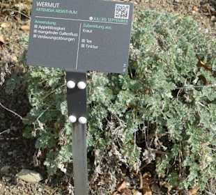 Erläuterungen der Kräuter