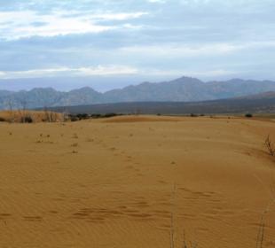 Düne im Khogno Tarna Nationalpark
