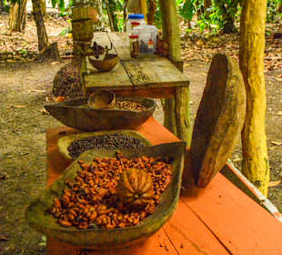 Safari: Kaffee, Kakao und Obst
