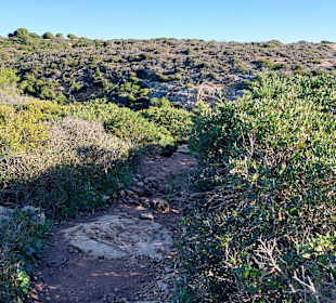 Seven Hanging Valleys Trail 