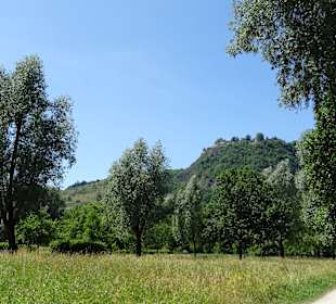 Schaffhauser Kräutergarten