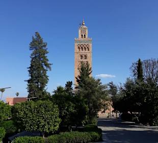 Blick auf die Moschee aus den Gärten