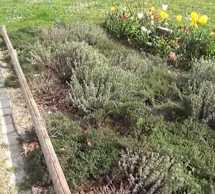 Bürgerpark Offenburg