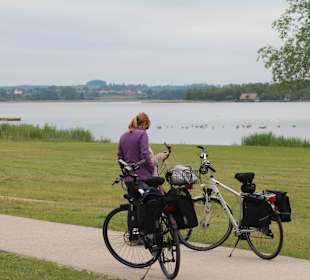 Rund um den Inselsee