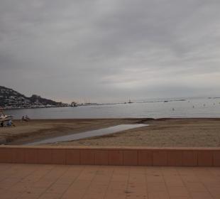 Plage de roses