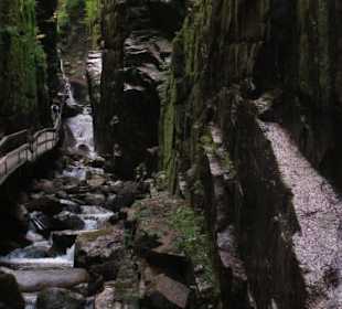 In der Flume Gorge