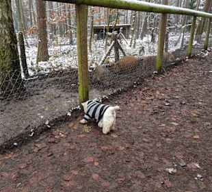 Das ist mal ein anderer Geruch