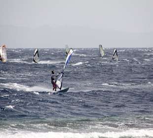 Surfer in Dahab