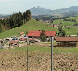 Blick auf den Waldpark