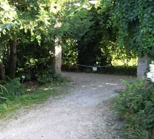 Botanischer Garten München