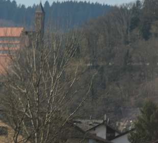 Burg Hirschhorn oberhalb der Stadt Hirschhorn