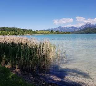 Weißensee