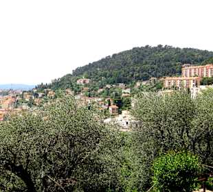 Вид на Грасс из сада Полины