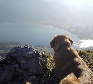 Sankt Wolfgang im Salzkammergut