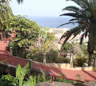 Blick vom Taoro-Park