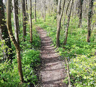 Wandern Egmond aan Zee