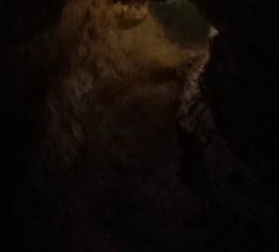 Cueva de los Verdes