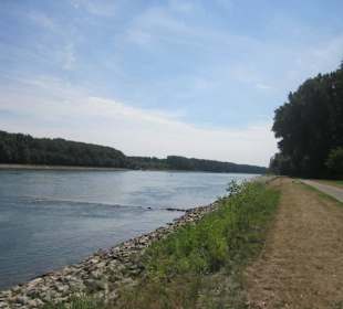 Am Rhein in Germersheim