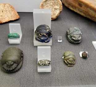 Exponate des Ägyptischen Museums Bonn