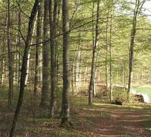 Wanderweg Hochgehswiggert