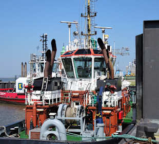 Eindrücke aus dem Schlepperhafen