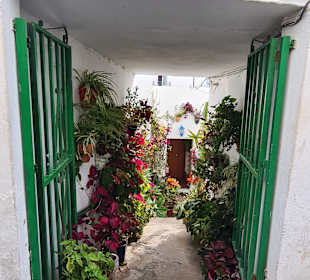 Stadtrundgang Conil de la Frontera