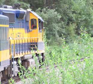 Auf den Weg zu den Gletschern