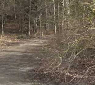 Rundwanderung durch den Rauhen Rammert Hemmendorf