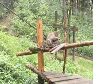 Zoo Olomouc