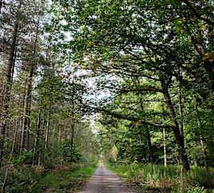 Wandern Datteln