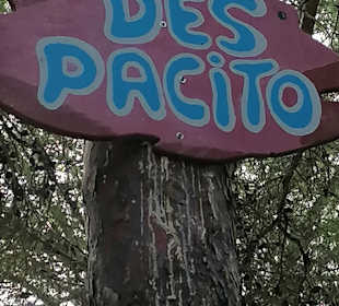 Wandern Cala Ratjada