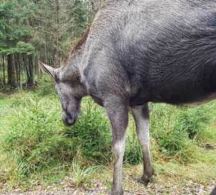 Beinahe zum Anfassen