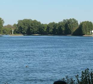 Rheinpromenaden-Bummel in Mainz