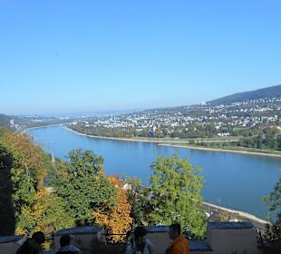 Rheinblick