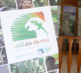 Nationalpark  Vallee' de Mai