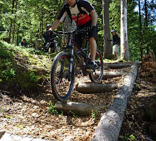 Hackschnitzeltrail