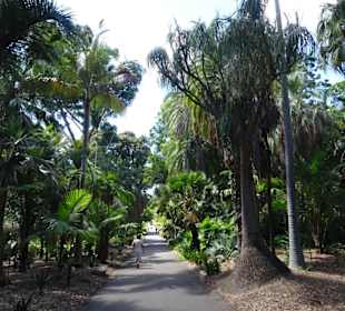 Stadtrundgang Sydney