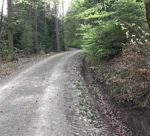 Walderlebnisweg Rottenburg