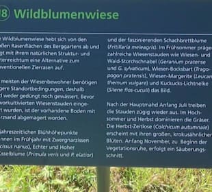 Wildblumenwiese - Berggarten
