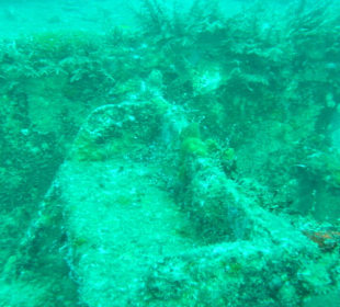 Wrack Tanja 5 